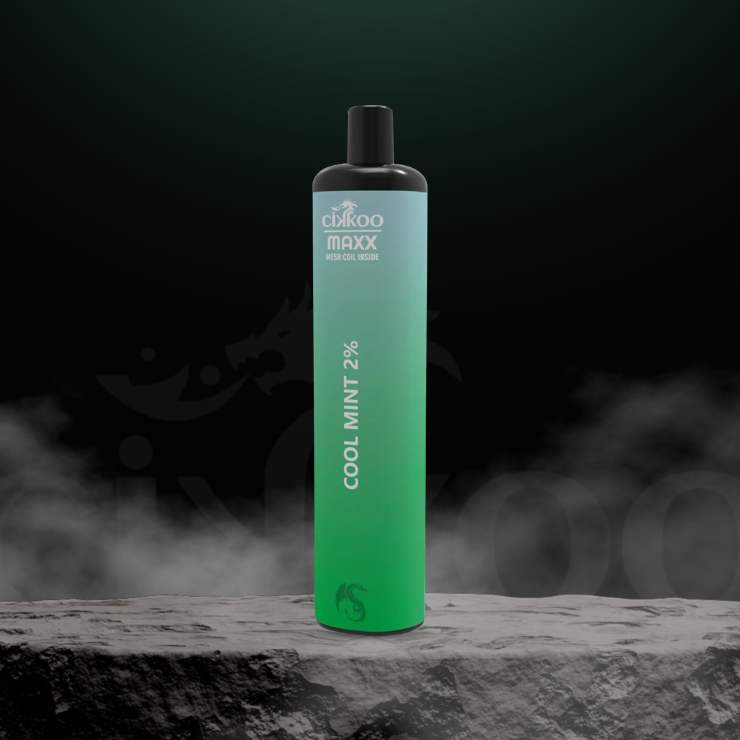 Cikkoo 5000 Cool Mint - CHF 9.95/Stk