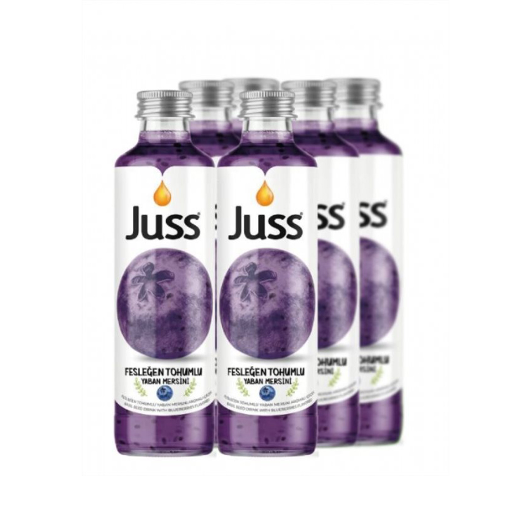 Juss Yaban Mersinli İçecek 24x250ml -  CHF 1.19/Stk